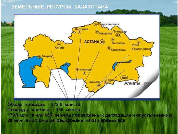 ЗЕМЕЛЬНЫЕ РЕСУРСЫ КАЗАХСТАНА Общая площадь - 272, 6 млн. га Площадь пастбищ - 188