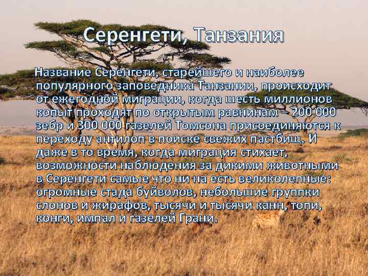 Серенгети, Танзания Название Серенгети, старейшего и наиболее популярного заповедника Танзании, происходит от ежегодной миграции,