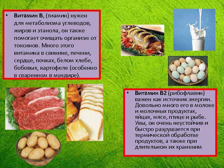  • Витамин В, (тиамин) нужен для метаболизма углеводов, жиров и этанола, он также