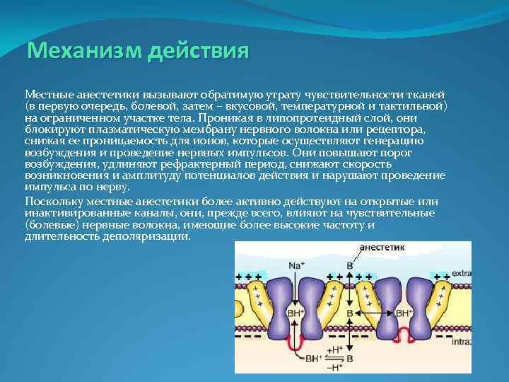 Искусственно вызвано