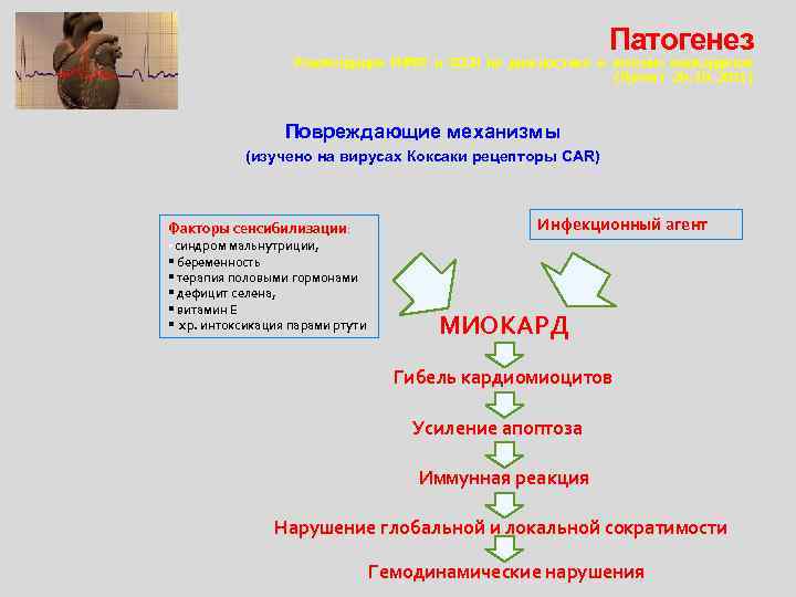 Патогенез Рекомендации РНМОТ и ОССН по диагностике и лечению миокардитов (Проект 20. 10. 2011)