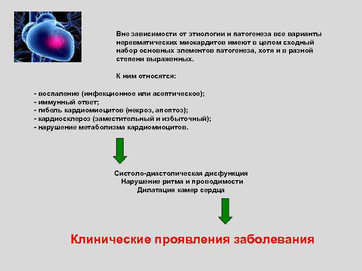 Вне зависимости от этиологии и патогенеза все варианты неревматических миокардитов имеют в целом сходный