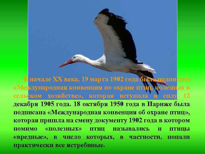 В начале XX века, 19 марта 1902 года была подписана «Международная конвенция по охране