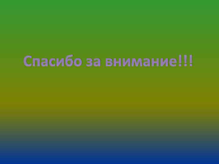Спасибо за внимание!!! 