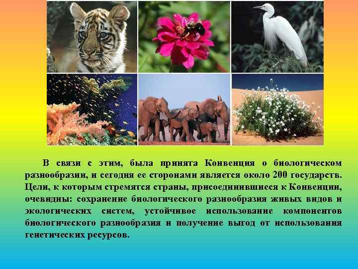 В связи с этим, была принята Конвенция о биологическом разнообразии, и сегодня ее сторонами