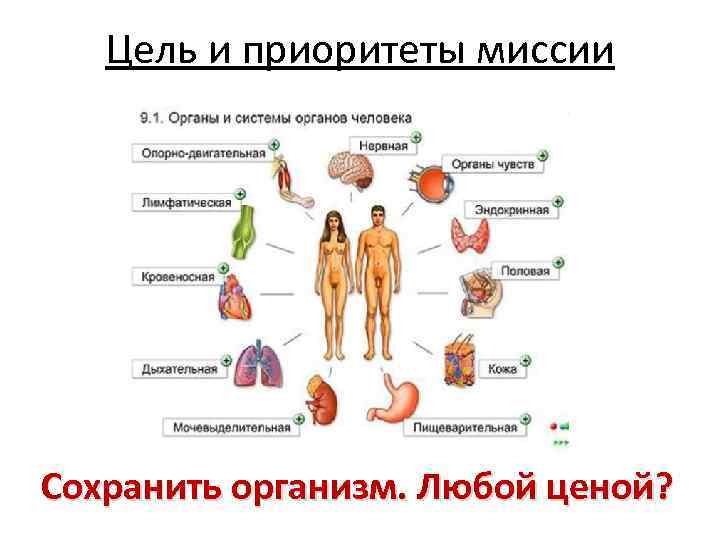 Цель и приоритеты миссии Сохранить организм. Любой ценой? 