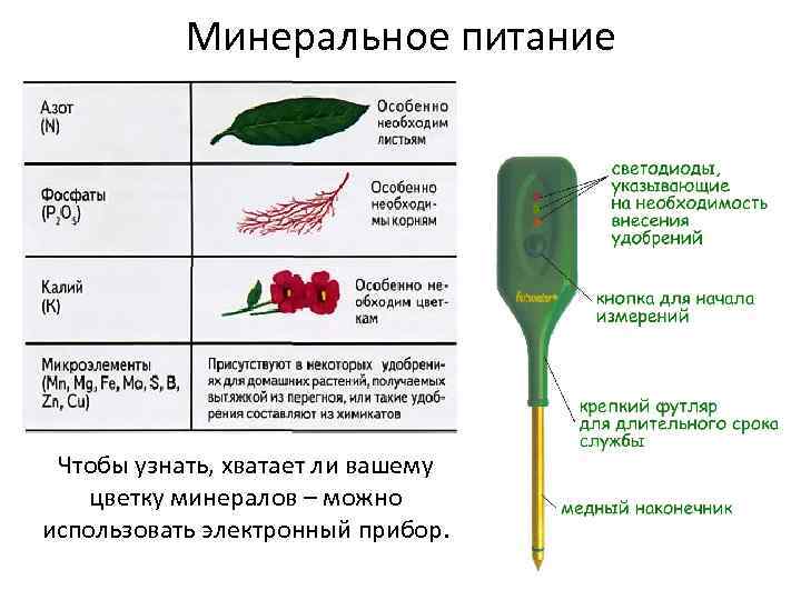 Минеральное питание Чтобы узнать, хватает ли вашему цветку минералов – можно использовать электронный прибор.