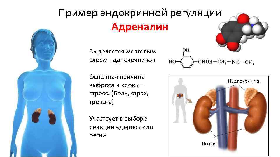 Причина выброса антифриза