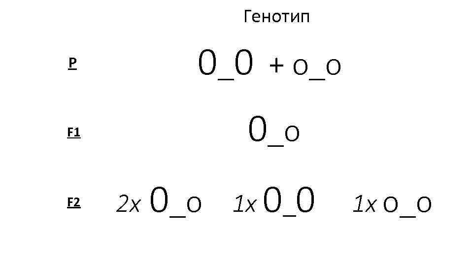 Генотип 0_0 + о_о Р 0_о F 1 F 2 2 х 0_о 1