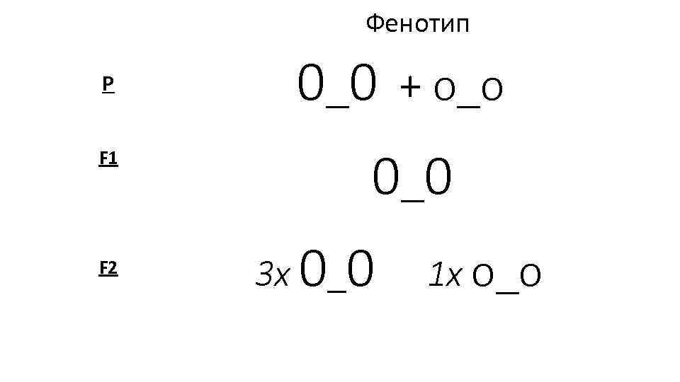 Фенотип Р F 1 F 2 0_0 + о_о 0 _0 3 х 0_0