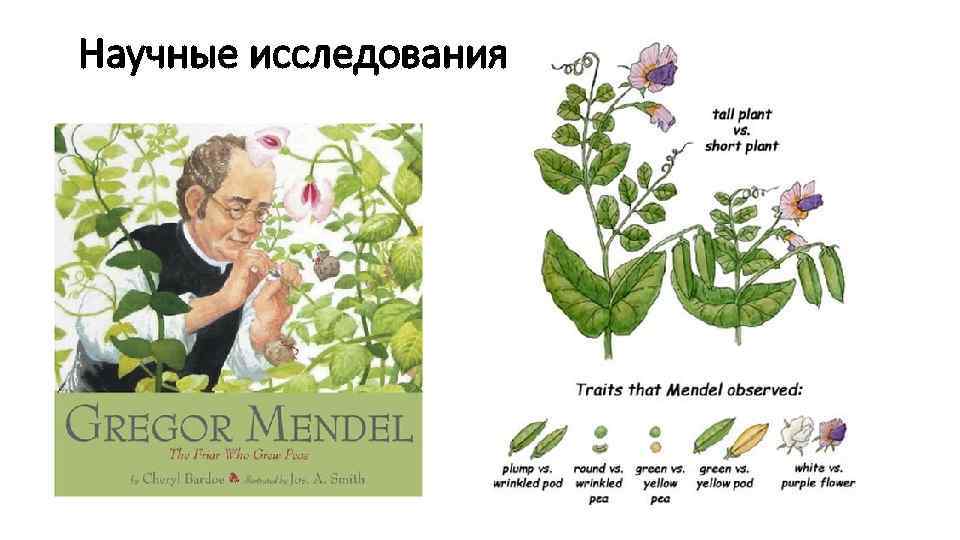 Научные исследования 