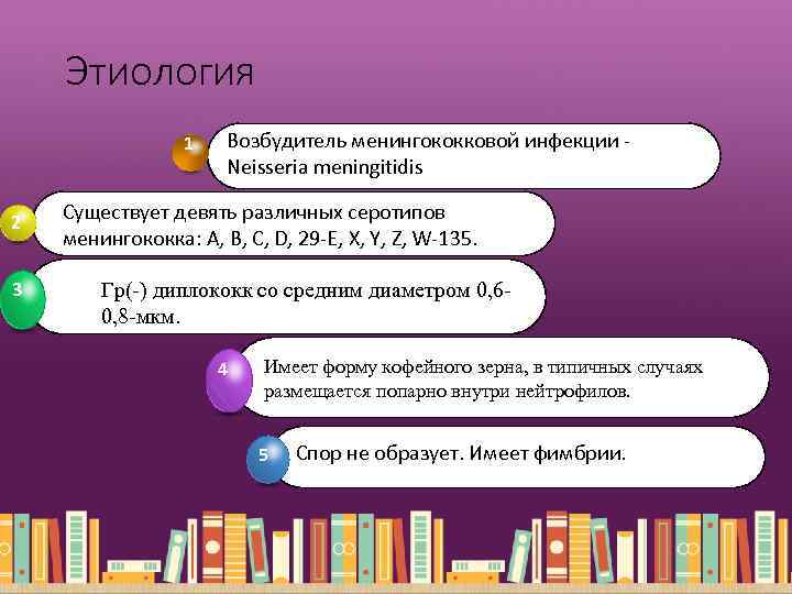 Этиология 1 2 3 Возбудитель менингококковой инфекции Neisseria meningitidis Существует девять различных серотипов менингококка: