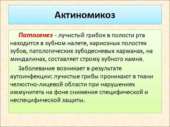 Актиномикоз Патогенез - лучистый грибок в полости рта находится в зубном налете, кариозных полостях