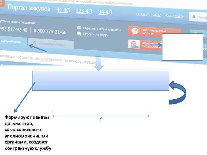 Формируют пакеты документов, согласовывают с уполномоченными органами, создают контрактную службу 