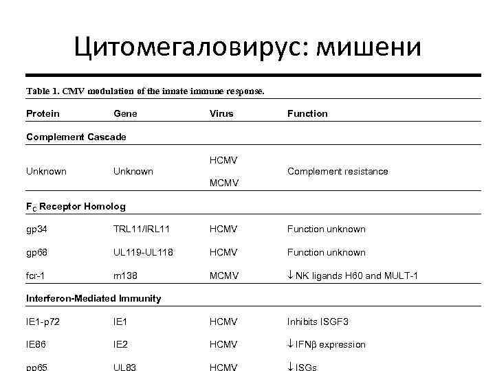 Цитомегаловирус: мишени Table 1. CMV modulation of the innate immune response. Protein Gene Virus