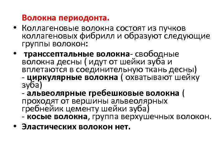  Волокна периодонта. • Коллагеновые волокна состоят из пучков коллагеновых фибрилл и образуют следующие