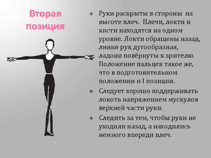 Вторая позиция v v v Руки раскрыты в стороны на высоте плеч. Плечи, локти