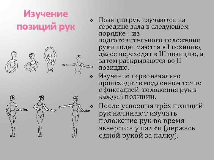 Изучение позиций рук v v v Позиции рук изучаются на середине зала в следующем