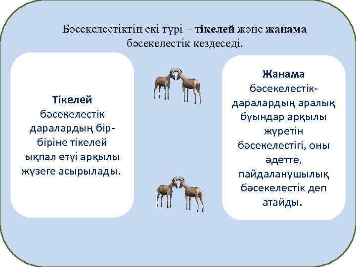 Бәсекелестiктiң екi түрi – тiкелей және жанама бәсекелестiк кездеседi. Тiкелей бәсекелестiк даралардың бiрбiрiне тiкелей