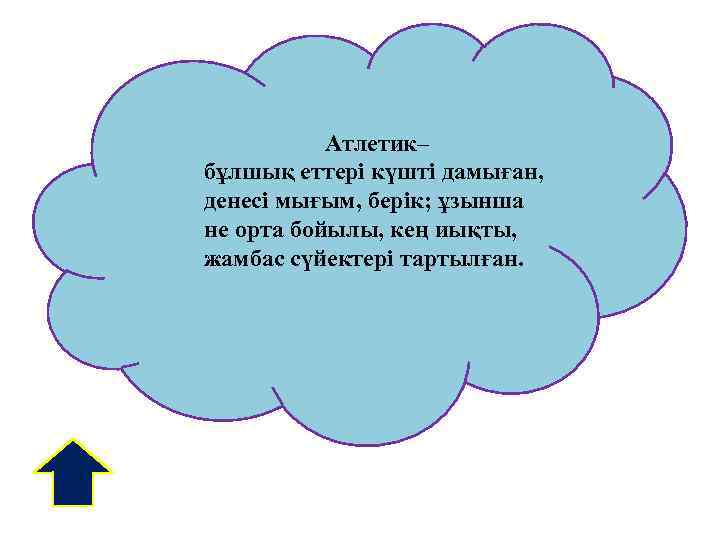 Атлетик– бұлшық еттері күшті дамыған, денесі мығым, берік; ұзынша не орта бойылы, кең иықты,