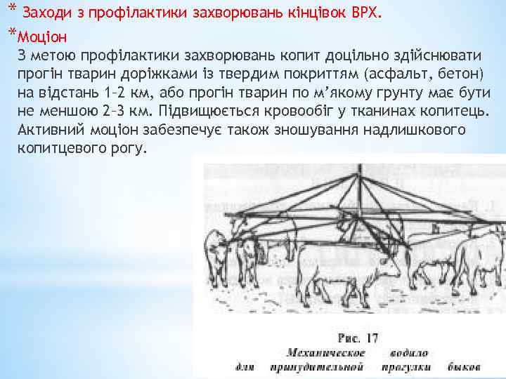 * Заходи з профілактики захворювань кінцівок ВРХ. *Моціон З метою профілактики захворювань копит доцільно