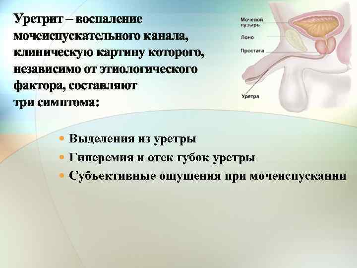Уретрит – воспаление мочеиспускательного канала, клиническую картину которого, независимо от этиологического фактора, составляют три