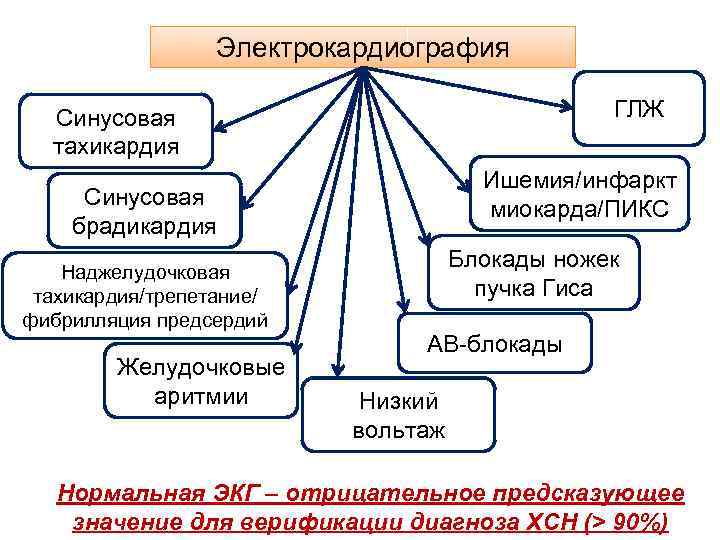Электрокардиография ГЛЖ Синусовая тахикардия Ишемия/инфаркт миокарда/ПИКС Синусовая брадикардия Наджелудочковая тахикардия/трепетание/ фибрилляция предсердий Желудочковые аритмии