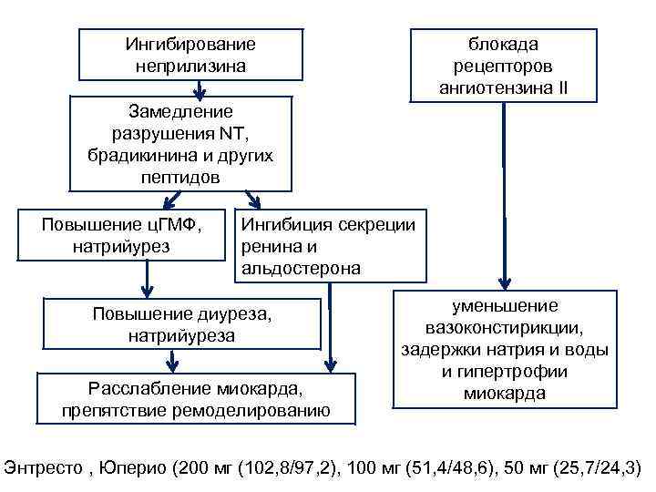 блокада рецепторов ангиотензина II Ингибирование неприлизина Замедление разрушения NT, брадикинина и других пептидов Повышение