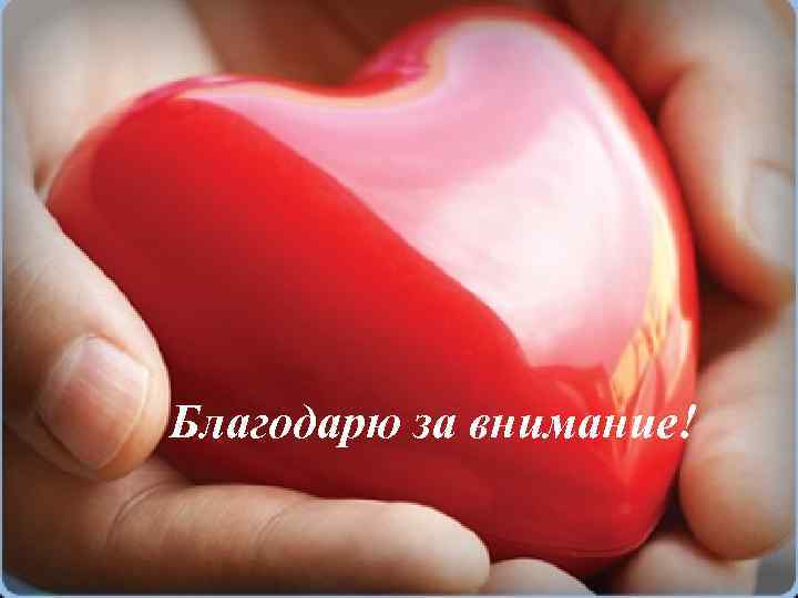 Благодарю за внимание! 