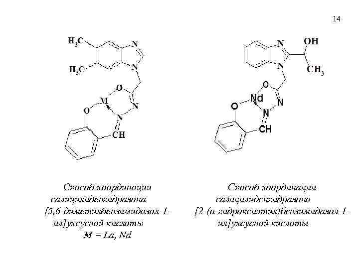 14 Способ координации салицилиденгидразона [5, 6 -диметилбензимидазол-1 ил]уксусной кислоты M = La, Nd Способ