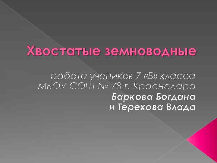 Хвостатые земноводные работа учеников 7 «Б» класса МБОУ СОШ № 78 г. Краснодара Баркова