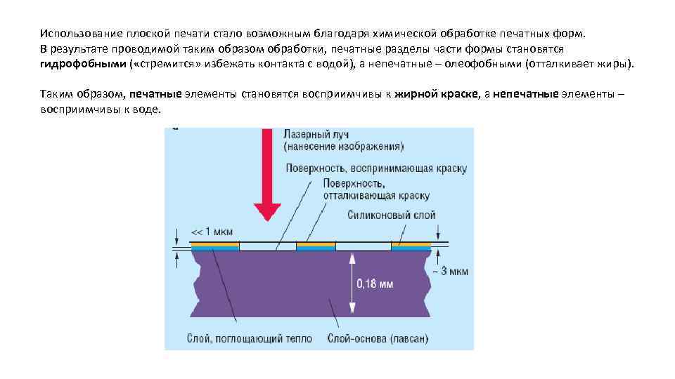 Какие элементы изображения бланка паспорта отпечатаны плоским офсетным способом печати