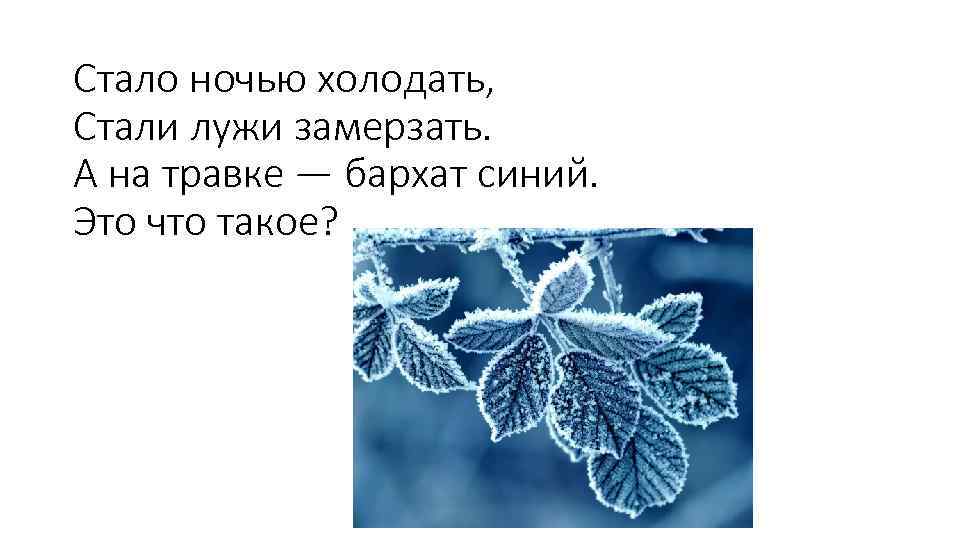 Стало ночью холодать, Стали лужи замерзать. А на травке — бархат синий. Это что