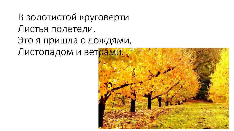 В золотистой круговерти Листья полетели. Это я пришла с дождями, Листопадом и ветрами. 