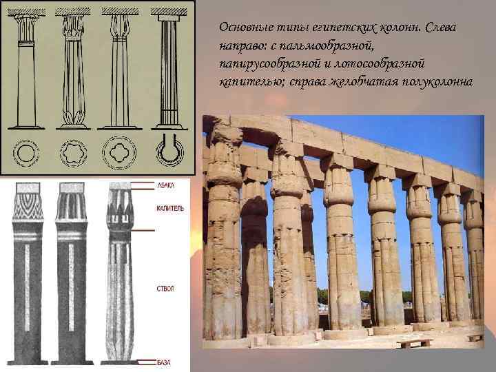 Основные типы египетских колонн. Слева направо: с пальмообразной, папирусообразной и лотосообразной капителью; справа желобчатая