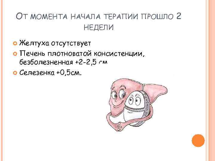 ОТ МОМЕНТА НАЧАЛА ТЕРАПИИ ПРОШЛО НЕДЕЛИ Желтуха отсутствует Печень плотноватой консистенции, безболезненная +2 -2,