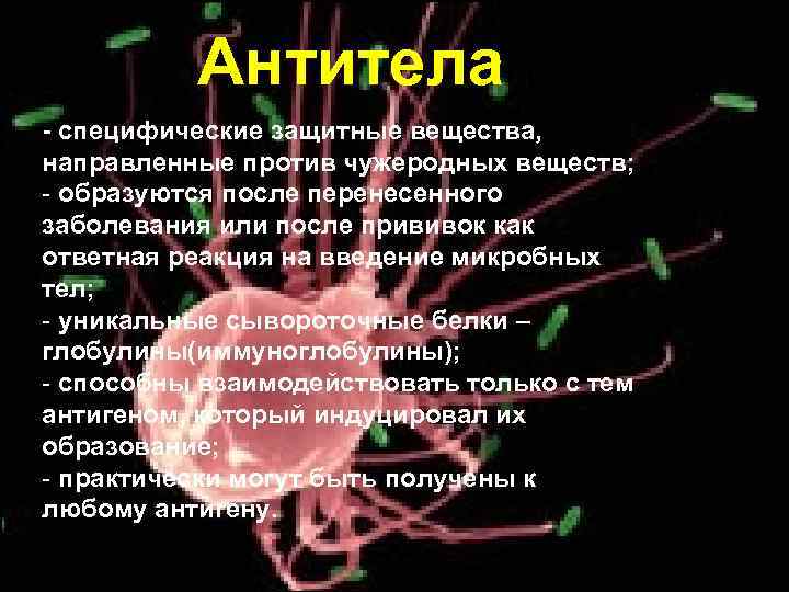 Антитела - специфические защитные вещества, направленные против чужеродных веществ; - образуются после перенесенного заболевания