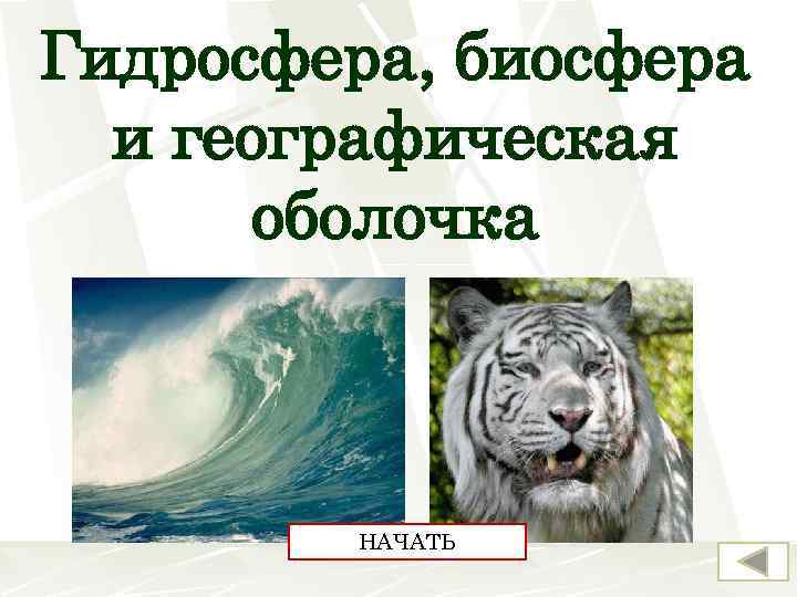 Гидросфера, биосфера и географическая оболочка НАЧАТЬ 