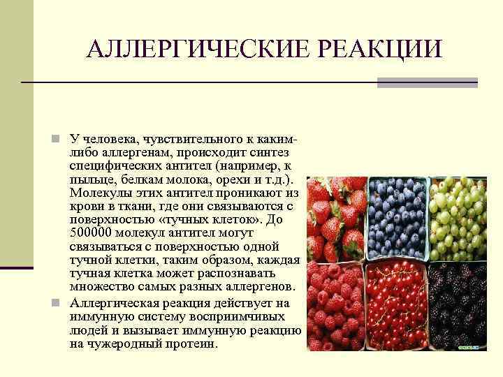 АЛЛЕРГИЧЕСКИЕ РЕАКЦИИ n У человека, чувствительного к каким- либо аллергенам, происходит синтез специфических антител