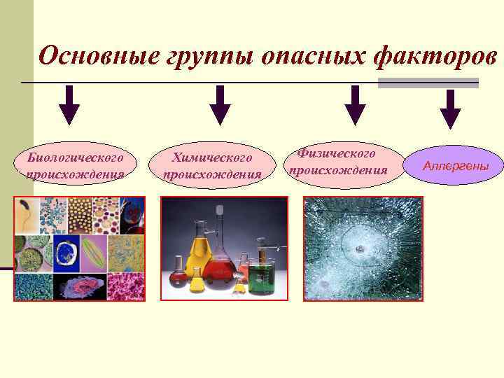 Основные группы опасных факторов Биологического происхождения Химического происхождения Физического происхождения Аллергены 