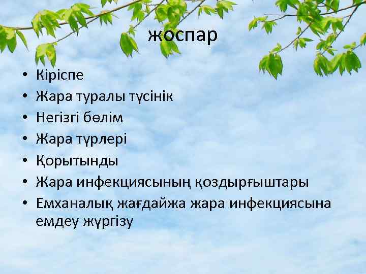 жоспар • • Кіріспе Жара туралы түсінік Негізгі бөлім Жара түрлері Қорытынды Жара инфекциясының