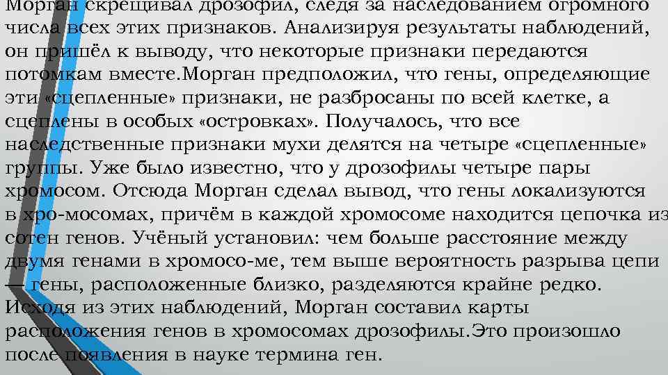 Морган скрещивал дрозофил, следя за наследованием огромного числа всех этих признаков. Анализируя результаты наблюдений,
