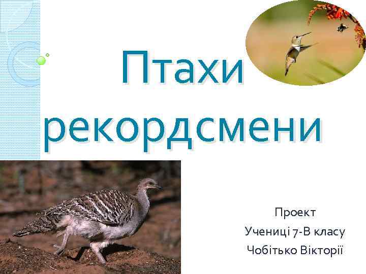 Птахи рекордсмени Проект Учениці 7 -В класу Чобітько Вікторії 