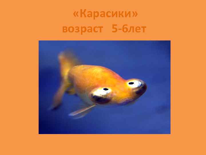  «Карасики» возраст 5 -6 лет 