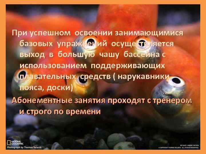 При успешном освоении занимающимися базовых упражнений осуществляется выход в большую чашу бассейна с использованием