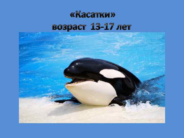  «Касатки» возраст 13 -17 лет 