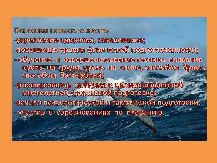 Основная направленность: -укрепление здоровья, закаливание; -повышение уровня физической подготовленности; - обучение и совершенствование техники