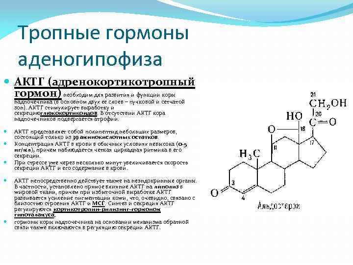 Тропные гормоны секретируют