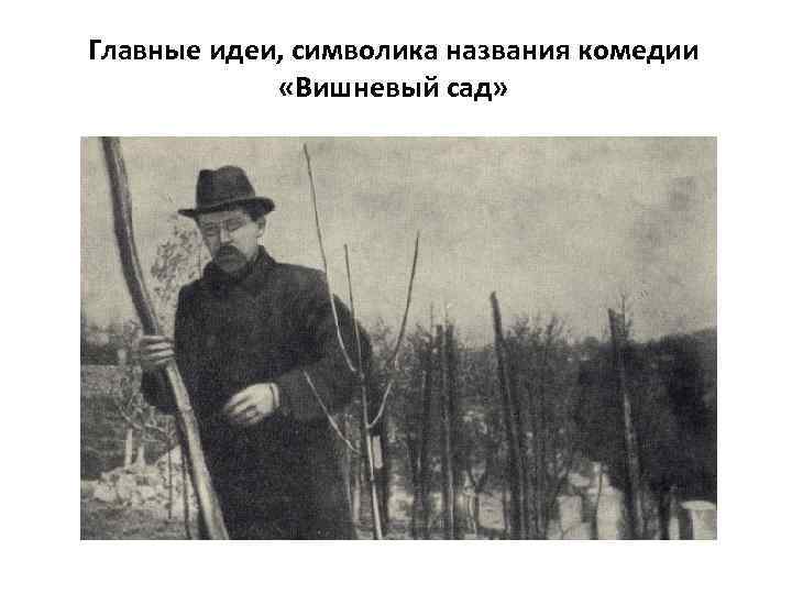 Главные идеи, символика названия комедии «Вишневый сад» 
