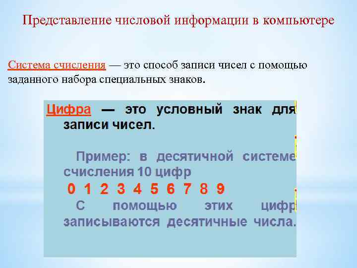 Что такое числовая информация в компьютере